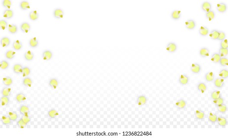 Vector Realistic  Petals Falling on Transparent Background.  Spring Romantic Flowers Illustration. Flying Petals. Sakura Spa Design.  Blossom Confetti. Design Elements for  St. Valentine Day.