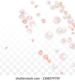 Vector Realistic Petals and Hearts Confetti. Flying Sakura and Hearts on Transparent Background. Wedding Invitation Background. Spring Romance Banner. Vector Illustration for Honeymoon Design.
