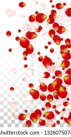 Vector Realistic Petals and Hearts Confetti. Flying Rose and Hearts on Transparent Background. Wedding Invitation Background. Spring Romance Banner. Illustration in Pink for Amour Design.
