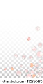 Vector Realistic Petals and Hearts Confetti. Flying Sakura and Hearts on Transparent Background. Wedding Invitation Background. Spring Romance Frame. Vector Illustration for Honeymoon Design.