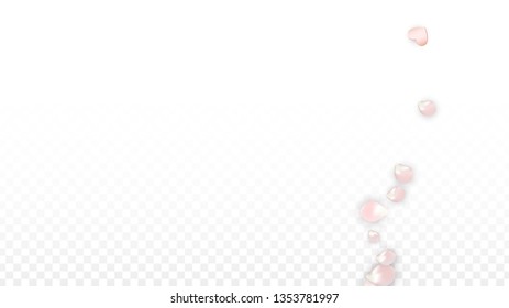 Vector Realistic Petals and Hearts Confetti. Flying Sakura and Hearts on Transparent Background. Wedding Invitation Background. Spring Romance Frame. Vector Illustration for Amour Design.