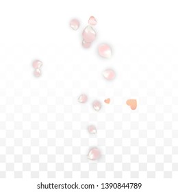 Vector Realistic Petals and Hearts Confetti. Flying Sakura and Hearts on Transparent Background. 8 March Background. Spring Romance Poster. Vector Illustration for Proposal Design.