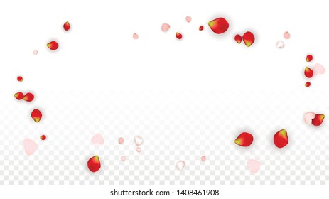 Vector Realistic Petals and Hearts Confetti. Flying Rose and Hearts on Transparent Background. 8 March Background. Spring Romance Frame. Illustration in Pink for Amour Design.
