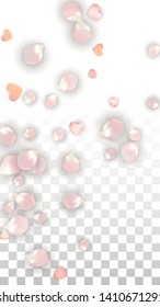Vector Realistic Petals and Hearts Confetti. Flying Sakura and Hearts on Transparent Background. 8 March Background. Spring Romance Card. Vector Illustration for Amour Design.