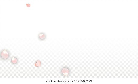 Vector Realistic Petals and Hearts Confetti. Flying Sakura and Hearts on Transparent Background. 8 March Background. Spring Romance Frame. Vector Illustration for Honeymoon Design.