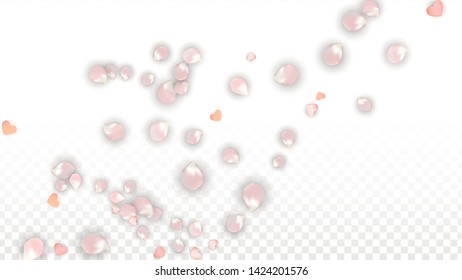 Vector Realistic Petals and Hearts Confetti. Flying Sakura and Hearts on Transparent Background. Women's Day Background. Spring Romance Banner. Vector Illustration for Amour Design.