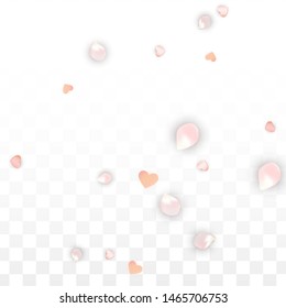 Vector Realistic Petals and Hearts Confetti. Flying Sakura and Hearts on Transparent Background. Romantic Love Background. Spring Romance Card. Vector Illustration for Amour Design.