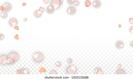 Vector Realistic Petals and Hearts Confetti. Flying Sakura and Hearts on Transparent Background. Mother Day Background. Spring Romance Frame. Vector Illustration for Amour Design.