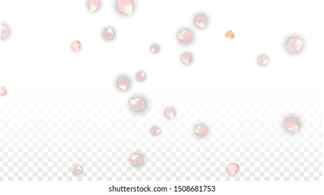 Vector Realistic Petals and Hearts Confetti. Flying Sakura and Hearts on Transparent Background. Romantic Love Background. Spring Romance Design. Vector Illustration for Anniversary Design.