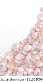 Vector Realistic Petals and Hearts Confetti. Flying Sakura and Hearts on Transparent Background. 8 March Background. Spring Romance Design. Vector Illustration for Honeymoon Design.