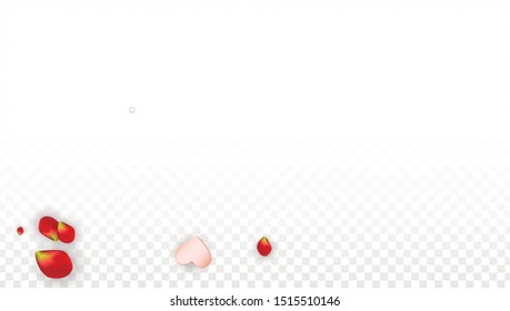 Vector Realistic Petals and Hearts Confetti. Flying Rose and Hearts on Transparent Background. 8 March Background. Spring Romance Frame. Illustration in Pink for Proposal Design.