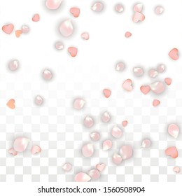 Vector Realistic Petals and Hearts Confetti. Flying Sakura and Hearts on Transparent Background. 8 March Background. Spring Romance Flyer. Vector Illustration for Proposal Design.