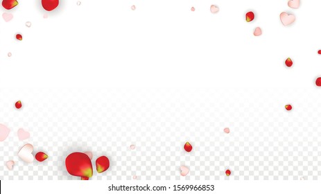 Vector Realistic Petals and Hearts Confetti. Flying Rose and Hearts on Transparent Background. St. Valentine Day Background. Spring Romance Design. Illustration in Pink for Anniversary Decoration.