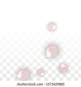 Vector Realistic Petals and Hearts Confetti. Flying Sakura and Hearts on Transparent Background. Wedding Invitation Background. Spring Romance Border. Vector Illustration for Honeymoon Design.