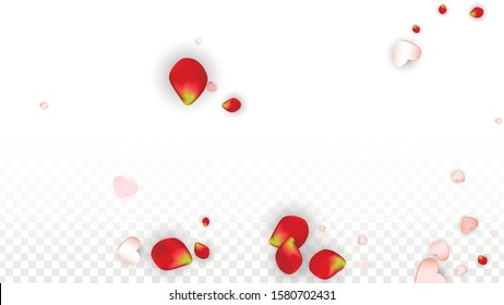 Vector Realistic Petals and Hearts Confetti. Flying Rose and Hearts on Transparent Background. Mother Day Background. Spring Romance Banner. Illustration in Pink for Honeymoon Decoration.