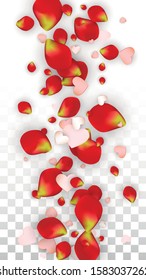 Vector Realistic Petals and Hearts Confetti. Flying Rose and Hearts on Transparent Background. Mother Day Background. Spring Romance Design. Illustration in Pink for Anniversary Decoration.