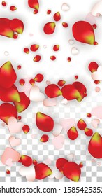 Vector Realistic Petals and Hearts Confetti. Flying Rose and Hearts on Transparent Background. Mother Day Background. Spring Romance Flyer. Illustration in Pink for Anniversary Decoration.