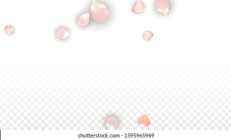 Vector Realistic Petals and Hearts Confetti. Flying Sakura and Hearts on Transparent Background. Romantic Love Background. Spring Romance Border. Vector Illustration for Honeymoon Design.