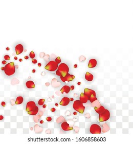 Vector Realistic Petals and Hearts Confetti. Flying Rose and Hearts on Transparent Background. St. Valentine Day Background. Spring Romance Border. Illustration in Pink for Proposal Design.