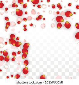 Vector Realistic Petals and Hearts Confetti. Flying Rose and Hearts on Transparent Background. Wedding Invitation Background. Spring Romance Design. Illustration in Pink for Amour Design.