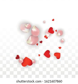 Vector Realistic Petals and Hearts Confetti. 