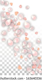 Vector Realistic Petals and Hearts Confetti. Flying Sakura and Hearts on Transparent Background. Wedding Invitation Background. Spring Romance Border. Vector Illustration for Honeymoon Design.