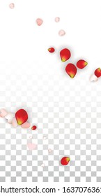 Vector Realistic Petals and Hearts Confetti. Flying Rose and Hearts on Transparent Background. 8 March Background. Spring Romance Flyer. Illustration in Pink for Proposal Design.