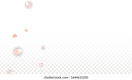 Vector Realistic Petals and Hearts Confetti. Flying Sakura and Hearts on Transparent Background. St. Valentine Day Background. Spring Romance Border. Vector Illustration for Amour Design.