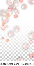 Vektorillustration Realistische Petals und Hearts Confetti. Fliegender Sakura und Herz auf transparentem Hintergrund. Romantischer Liebeshintergrund. Spring Romance Design. Vektorillustration Illustration für Honeymoon Design.