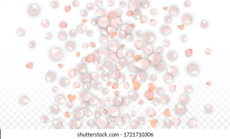 Vector Realistic Petals and Hearts Confetti. Flying Sakura and Hearts on Transparent Background. Women's Day Background. Spring Romance Frame. Vector Illustration for Proposal Design.