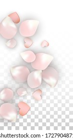 Vector Realistic Petals and Hearts Confetti. Flying Sakura and Hearts on Transparent Background. St. Valentine Day Background. Spring Romance Poster. Vector Illustration for Anniversary Design.
