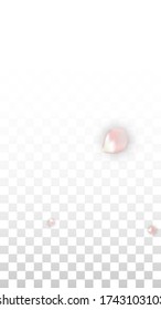 Vector Realistic Petals and Hearts Confetti. Flying Rose and Hearts on Transparent Background. Women's Day Background. Spring Romance Design. Illustration in Pink for Anniversary Decoration.