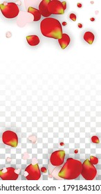 Vector Realistic Petals and Hearts Confetti. Flying Rose and Hearts on Transparent Background. Wedding Invitation Background. Spring Romance Card. Illustration in Pink for Anniversary Decoration.