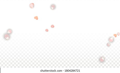 Vector Realistic Petals and Hearts Confetti. Flying Sakura and Hearts on Transparent Background. Wedding Invitation Background. Spring Romance Frame. Vector Illustration for Honeymoon Design.