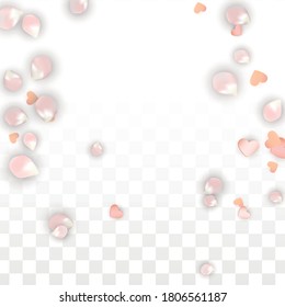 Vector Realistic Petals and Hearts Confetti. Flying Sakura and Hearts on Transparent Background. St. Valentine Day Background. Spring Romance Frame. Vector Illustration for Proposal Design.