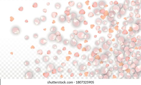 Vector Realistic Petals and Hearts Confetti. Flying Sakura and Hearts on Transparent Background. Romantic Love Background. Spring Romance Banner. Vector Illustration for Honeymoon Design.