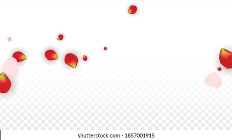 Vector Realistic Petals and Hearts Confetti. Flying Rose and Hearts on Transparent Background. Mother Day Background. Spring Romance Flyer. Illustration in Pink for Amour Design.