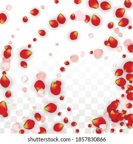 Vector Realistic Petals and Hearts Confetti. Flying Rose and Hearts on Transparent Background. Mother Day Background. Spring Romance Poster. Illustration in Pink for Honeymoon Decoration.
