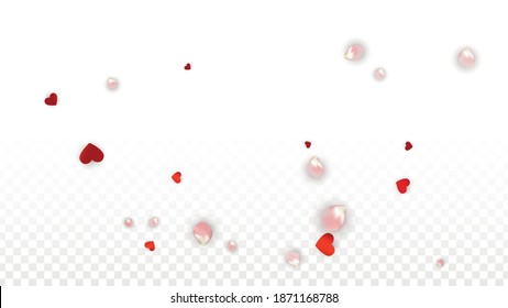 Vector Realistic Petals and Hearts Confetti. Flying Rose and Hearts on Transparent Background. Mother Day Background. Spring Romance Border. Illustration in Pink for Proposal Design.