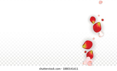 Vector Realistic Petals and Hearts Confetti. Flying Rose and Hearts on Transparent Background. Wedding Invitation Background. Spring Romance Design. Illustration in Pink for Honeymoon Decoration.