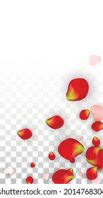 Vector Realistic Petals and Hearts Confetti. Flying Rose and Hearts on Transparent Background. Women's Day Background. Spring Romance Card. Illustration in Pink for Amour Design.