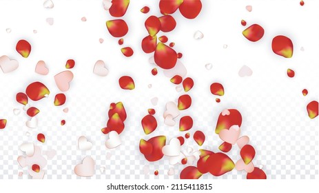 Vector Realistic Petals and Hearts Confetti. Flying Rose and Hearts on Transparent Background. Women's Day Background. Spring Romance Frame. Illustration in Pink for Proposal Design.