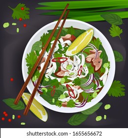 Vector realistic pho bo - vietnam traditional beef and noodle soup.