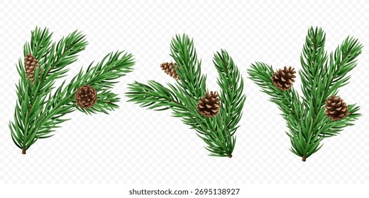 Vector realistic pine tree branch for Christmas and New Year design isolated on a transparent background. Holiday spruce branch with cones for winter banner, poster, greeting card.