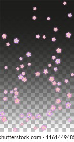 Vector Realistic Pink Flowers Falling on Transparent Background.  Spring Romantic Flowers Illustration. Flying Petals. Sakura Spa Design.  Blossom Confetti. Design Elements for  Poster Design. 