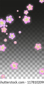Vector Realistic Pink Flowers Falling on Transparent Background.  Spring Romantic Flowers Illustration. Flying Petals. Sakura Spa Design.  Blossom Confetti. Design Elements for  Wedding Decoration.
