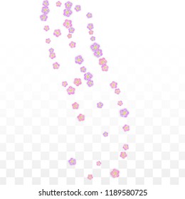 Vector Realistic Pink Flowers Falling on Transparent Background.  Spring Romantic Flowers Illustration. Flying Petals. Sakura Spa Design.  Blossom Confetti. Design Elements for  Poster Design. 