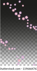 Vector Realistic Pink Flowers Falling on Transparent Background.  Spring Romantic Flowers Illustration. Flying Petals. Sakura Spa Design.  Blossom Confetti. Design Elements for  Wedding Decoration.