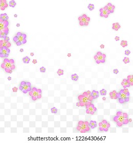Vector Realistic Pink Flowers Falling on Transparent Background.  Spring Romantic Flowers Illustration. Flying Petals. Sakura Spa Design.  Blossom Confetti. Design Elements for  Poster Design. 