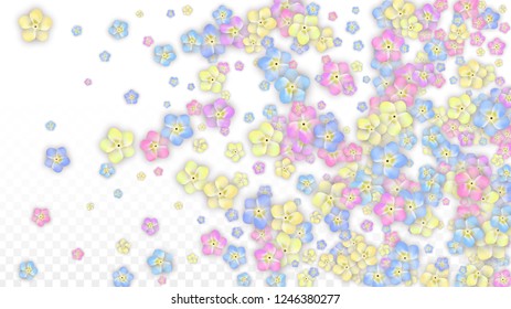 Vector Realistic Pink Flowers Falling on Transparent Background.  Spring Romantic Flowers Illustration. Flying Petals. Sakura Spa Design.  Blossom Confetti. Design Elements for  Poster Design. 